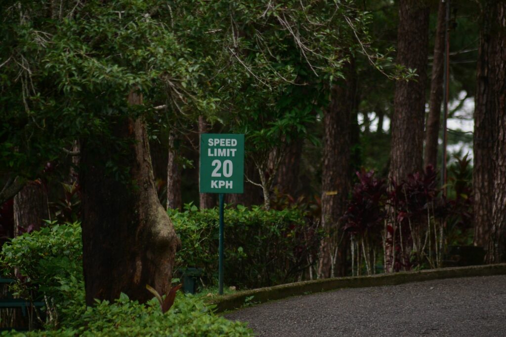 green and white road sign